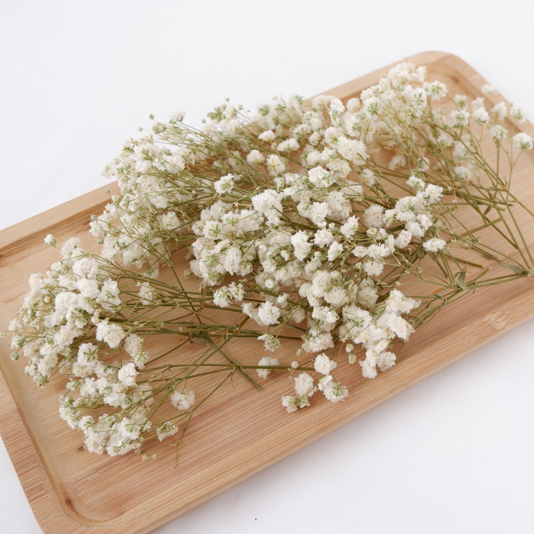 Flower Girl Basket - Dried Flowers White Mini Dried Babys