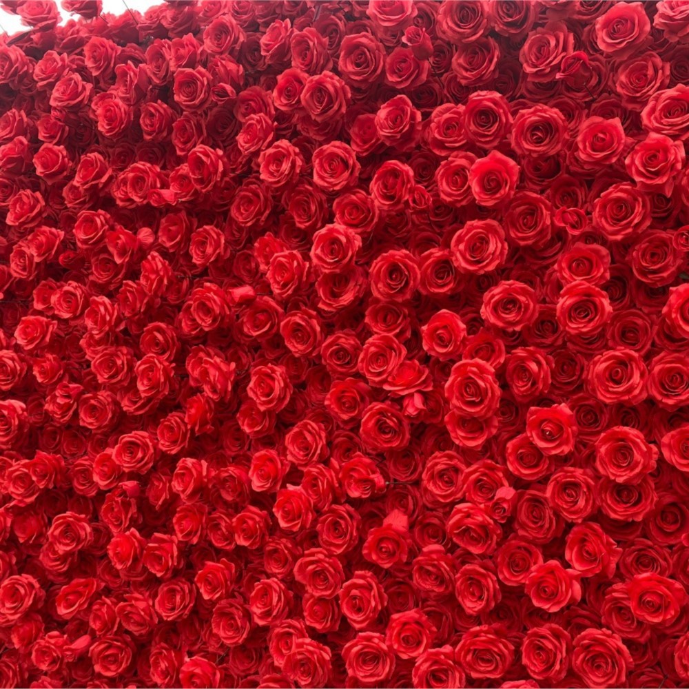 Uflower Red Rose 5D Cloth Flow - Wedding Backdrop Curtain review and price
