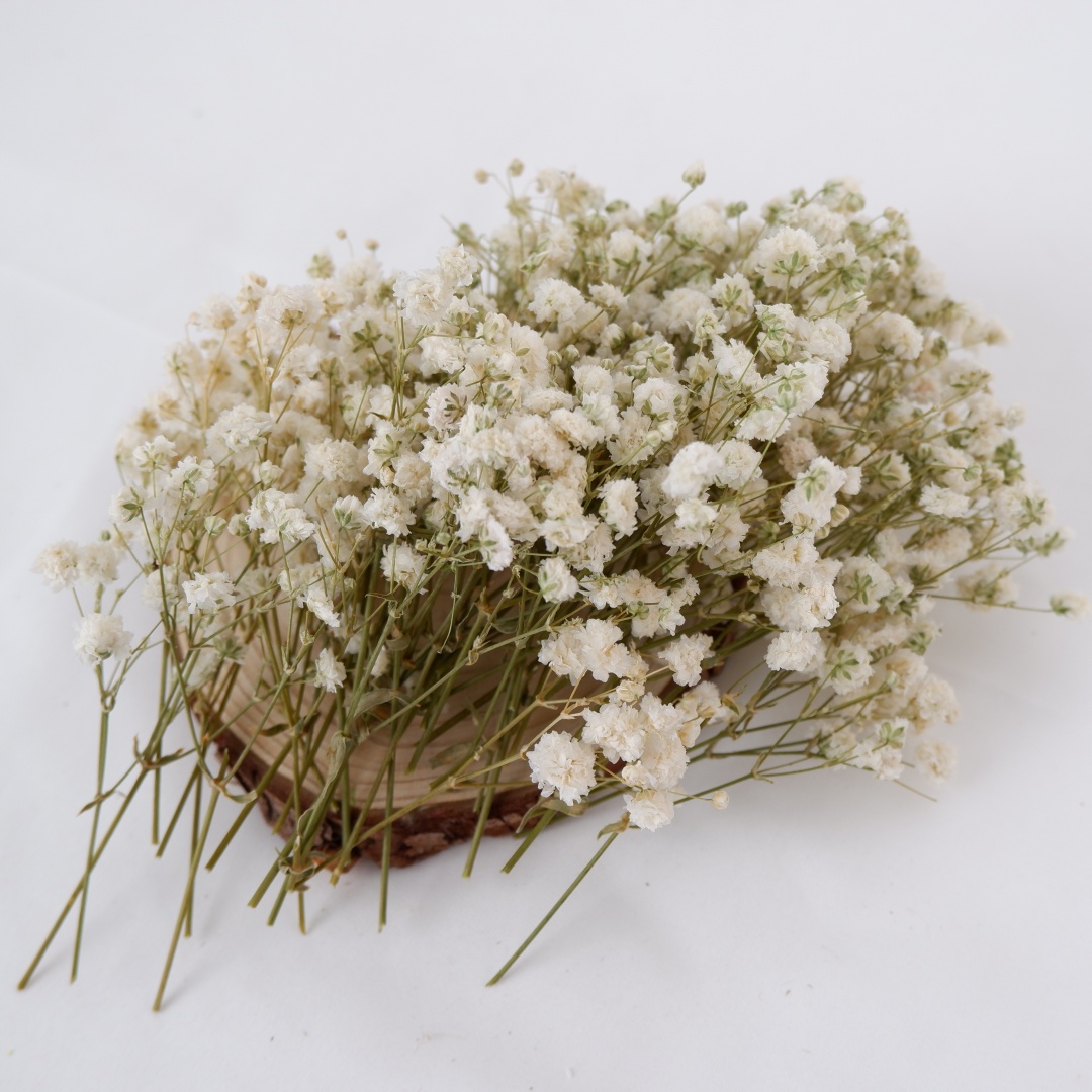 Dried Flowers White Mini Dried - Flower Girl Basket review and price