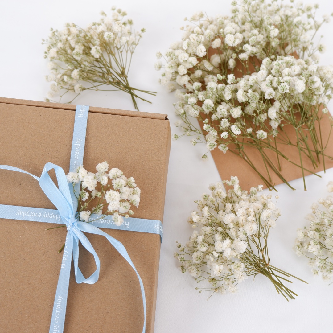 Dried Flowers White Mini Dried - Flower Girl Basket review and price