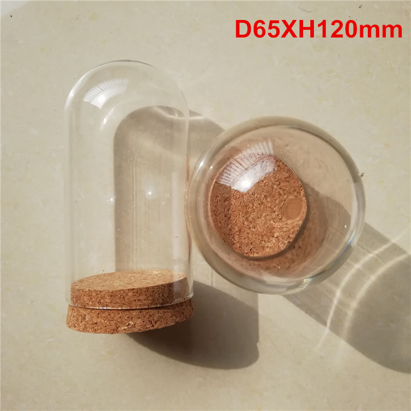 36pcs D65XH120mm Empty Clear G - Wedding Zoo review and price
